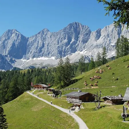 Appartementhaus Knaus *